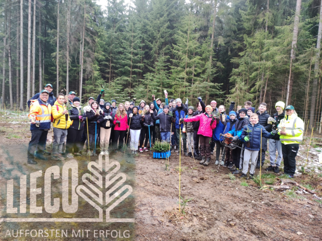 Die Schüler der VS Vitis im Wald beim Bäumesetzen. | Foto: Elternverein VS Vitis