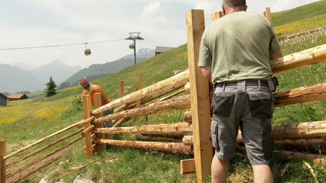 Zaunbau. | Foto: ORF/Hans Jöchler