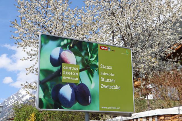 2005 war die GenussRegion "Stanzer Zwetschke" gemeinsam mit Kaiserwinkel im Unterland die erste dieser Region dieser Art in Tirol. | Foto: Siegele