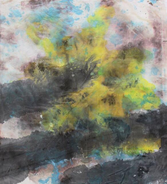 Thomas Schwarzenbachers setzen sich intensiv mit dem Licht und der Natur auseinander.   Foto: Schwarzenbacher