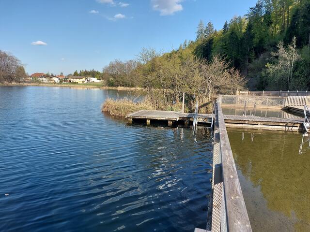 Sensation am Aichwaldsee!: Die schwimmende Insel ist wieder da ...
