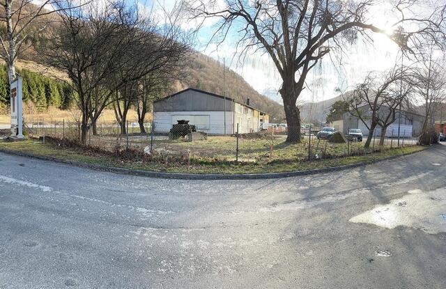 Foto: zur Verfügung gestellt