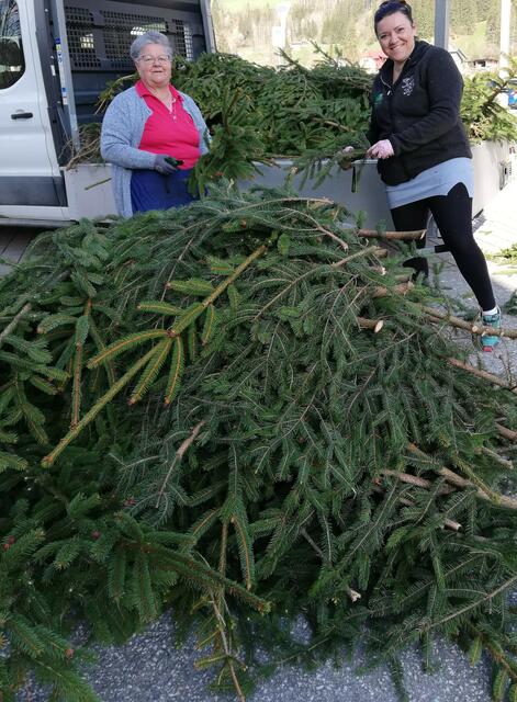 Zuschneiden und Zuaroachen