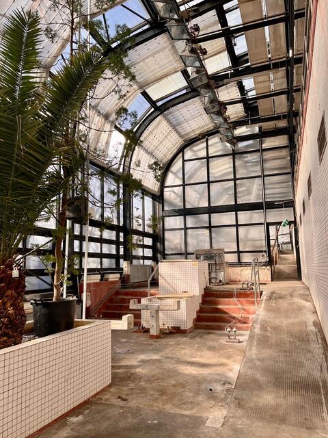 Das Glashaus wird den Vögeln eine neue Heimat sein. Hier soll auch ein Besucherzentrum entstehen. | Foto: Arbeitsgemeinschaft Papageienschutz