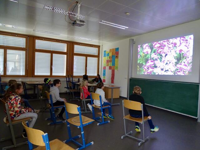 Bei dieser Station ging es um Bilderrätsel. | Foto: Sarah Braun