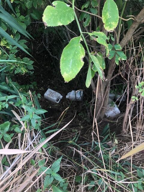 Foto: Madeleine Schreiber