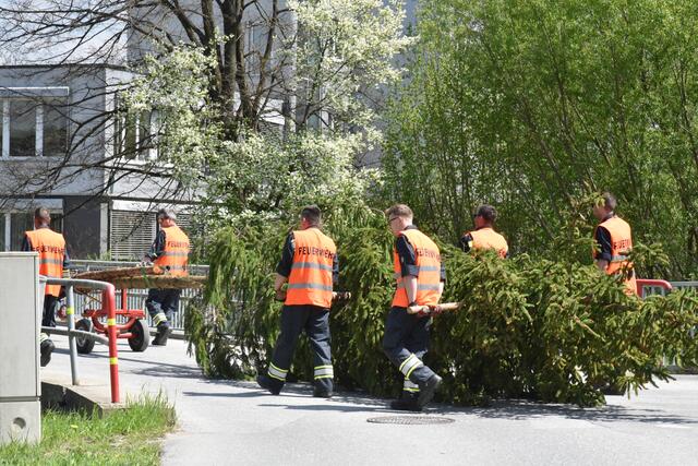 Foto: Gerald Dreisiebner