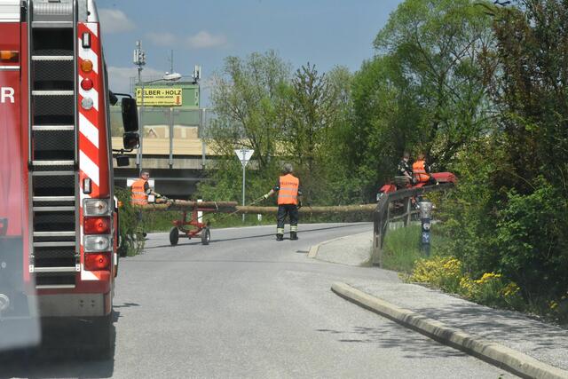 Foto: Gerald Dreisiebner