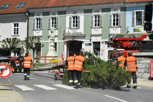 Foto: Gerald Dreisiebner