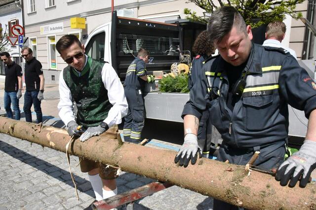 Foto: Gerald Dreisiebner