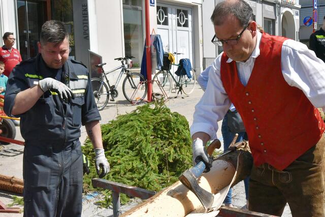 Foto: Gerald Dreisiebner