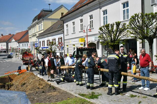 Foto: Gerald Dreisiebner