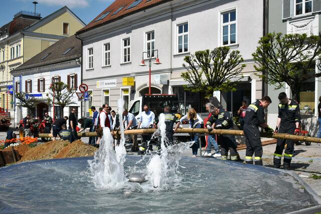 Foto: Gerald Dreisiebner