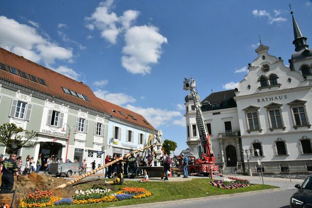 Foto: Gerald Dreisiebner