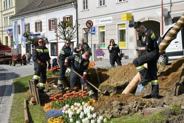 Foto: Gerald Dreisiebner