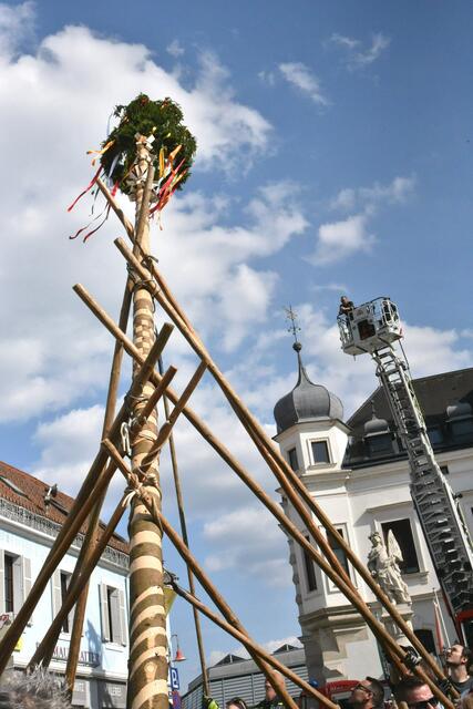 Foto: Gerald Dreisiebner