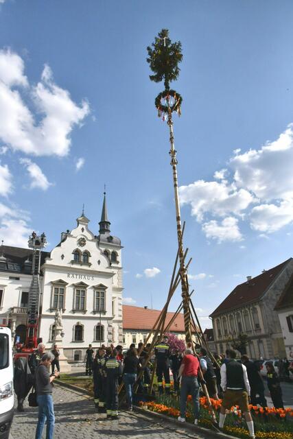 Foto: Gerald Dreisiebner