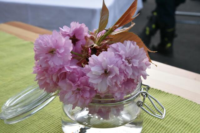 Foto: Gerald Dreisiebner