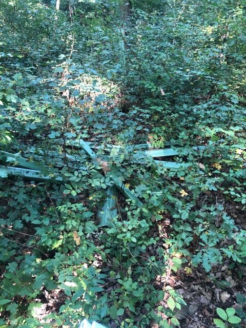 Foto: Madeleine Schreiber