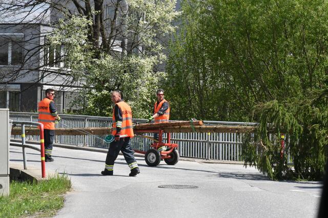 Foto: Gerald Dreisiebner