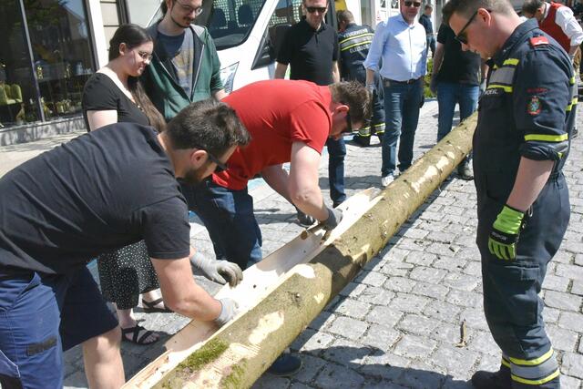 Foto: Gerald Dreisiebner