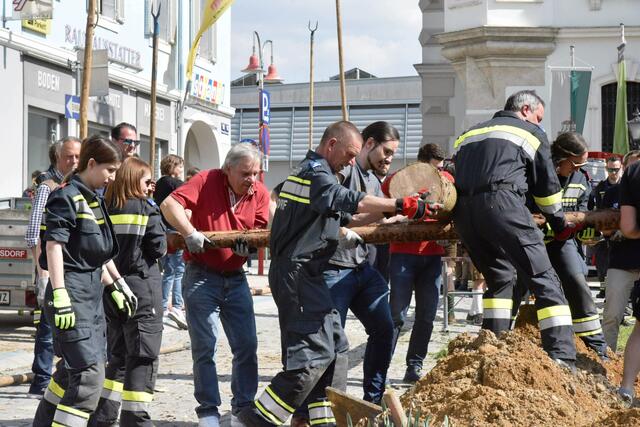 Foto: Gerald Dreisiebner