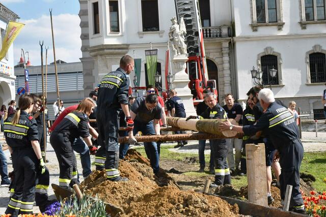 Foto: Gerald Dreisiebner