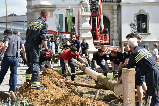 Foto: Gerald Dreisiebner