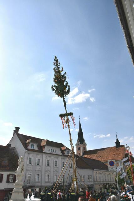 Foto: Gerald Dreisiebner