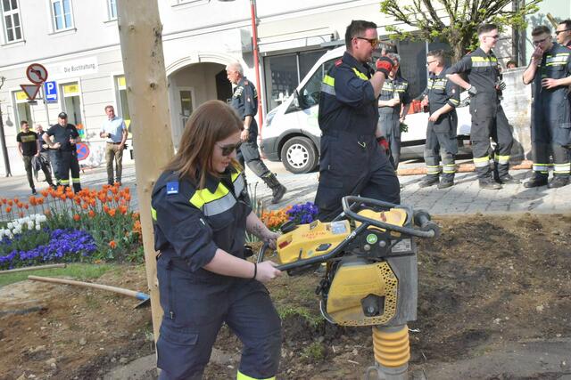 Foto: Gerald Dreisiebner