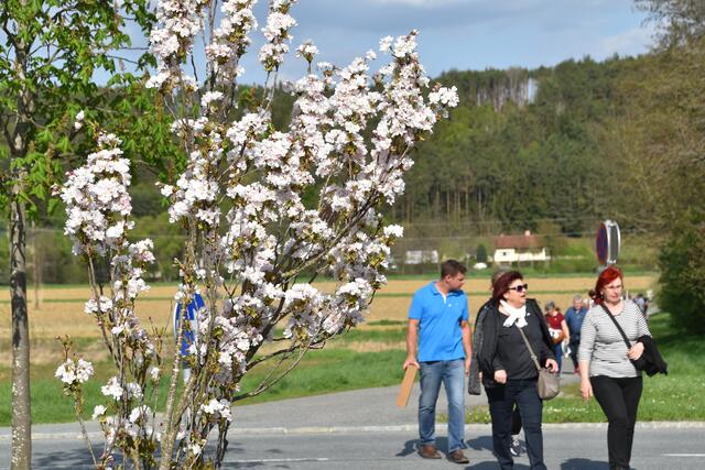 Foto: Martin Wurglits