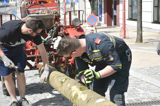 Foto: Gerald Dreisiebner