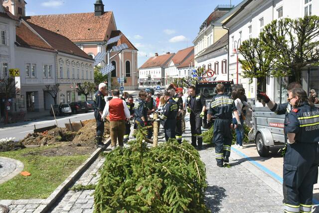 Foto: Gerald Dreisiebner