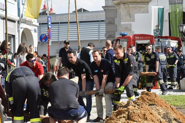 Foto: Gerald Dreisiebner