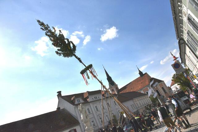 Foto: Gerald Dreisiebner