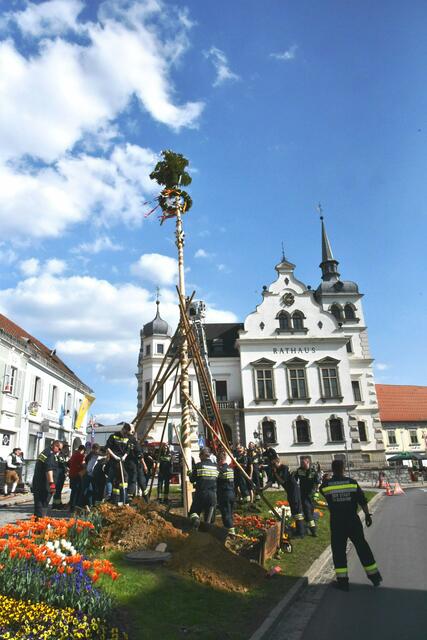 Foto: Gerald Dreisiebner