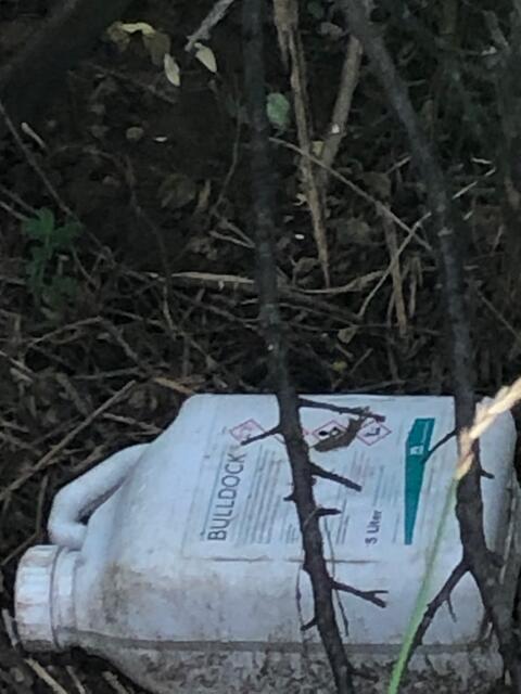 Foto: Madeleine Schreiber