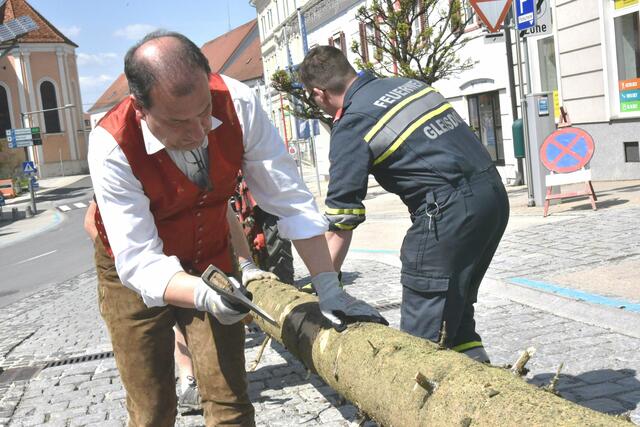 Foto: Gerald Dreisiebner