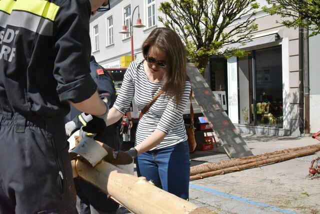 Foto: Gerald Dreisiebner