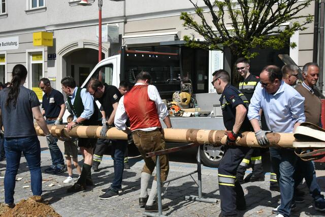 Foto: Gerald Dreisiebner