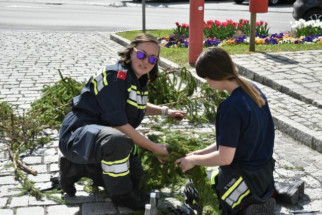 Foto: Gerald Dreisiebner