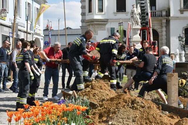 Foto: Gerald Dreisiebner