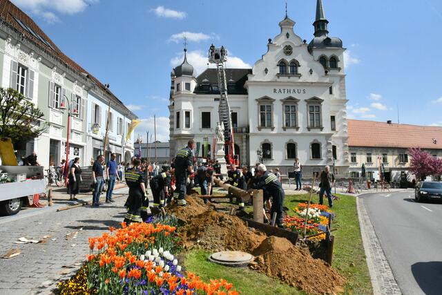 Foto: Gerald Dreisiebner