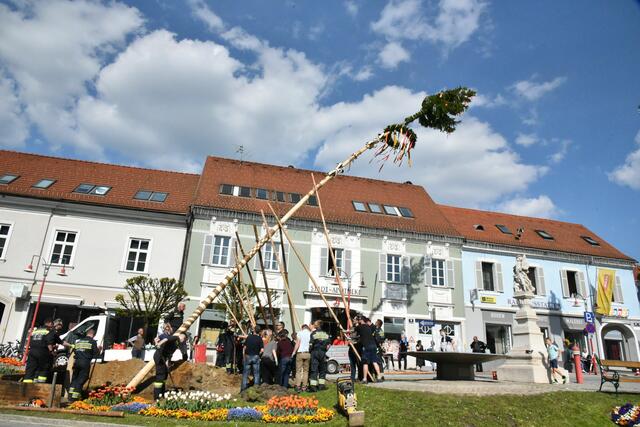 Foto: Gerald Dreisiebner