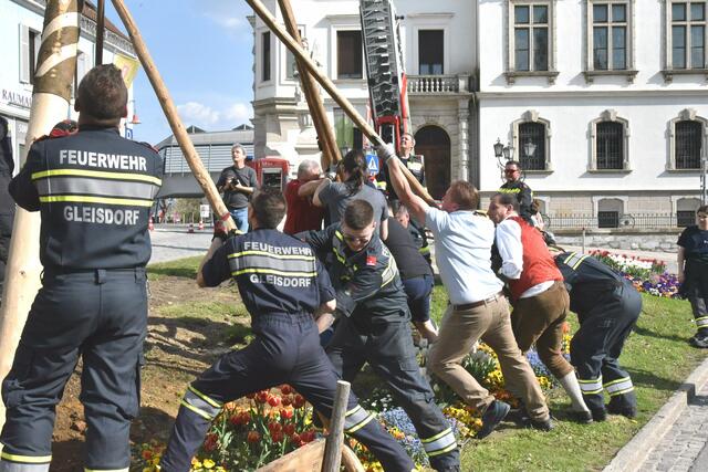 Foto: Gerald Dreisiebner