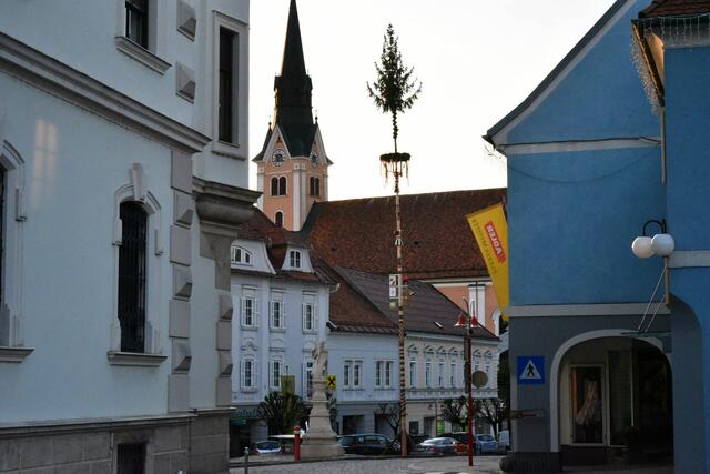 Foto: Gerald Dreisiebner