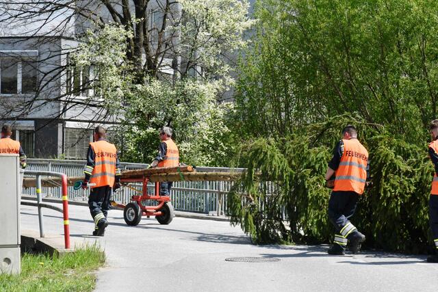 Foto: Gerald Dreisiebner