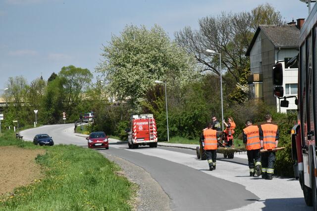 Foto: Gerald Dreisiebner