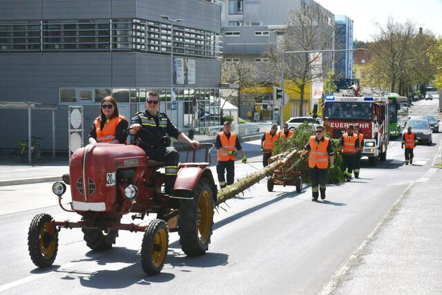 Foto: Gerald Dreisiebner