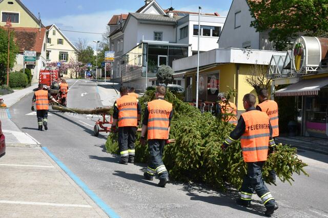 Foto: Gerald Dreisiebner